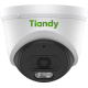TIANDY во Владивостоке