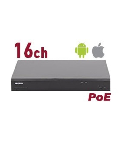 RK2216-P. Видеорегистратор IP 16-канальный. Beward во Владивостоке