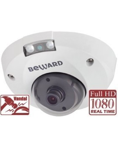 NK55630D8. IP-камера купольная. Beward во Владивостоке