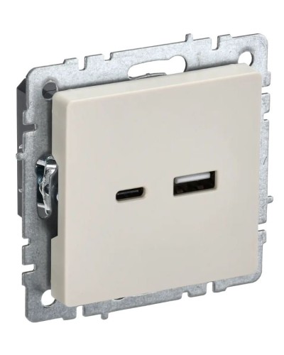 Розетка USB A+C 18Вт РЮ11-1-БрКр бежевый BRITE (BR-U22-018-K10). Розетка USB. IEK во Владивостоке