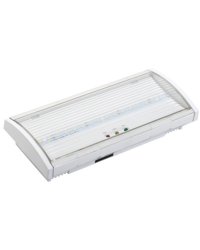 Светильник аварийный ДПА 5040-1 1ч IP54 LIGHTING (LDPA0-5040-1H-K01). Светильник аварийный постоянного действия. IEK во Владивостоке