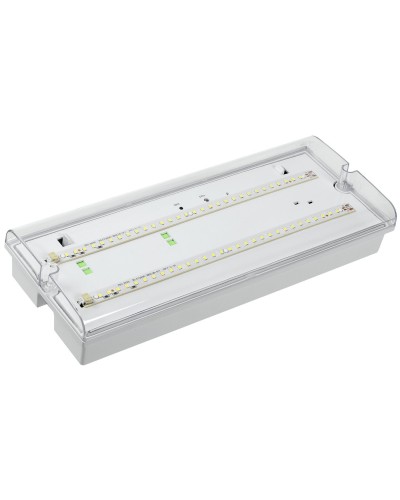 Светильник аварийный ДПА 5042-1 1ч IP65 LIGHTING (LDPA0-5042-1-65-K01). Светильник аварийный универсальный. IEK во Владивостоке