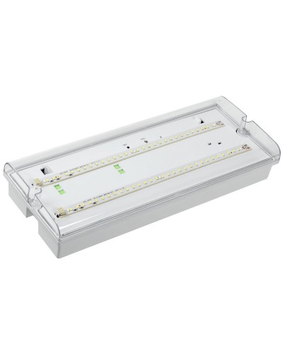 Светильник аварийный ДПА 5042-3 3ч IP65 LIGHTING (LDPA0-5042-3-65-K01). Светильник аварийный универсальный. IEK во Владивостоке