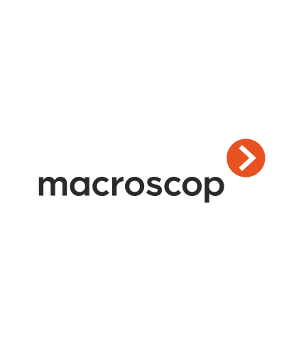 Расширение с LS до ST. Программное обеспечение (опция). MACROSCOP во Владивостоке
