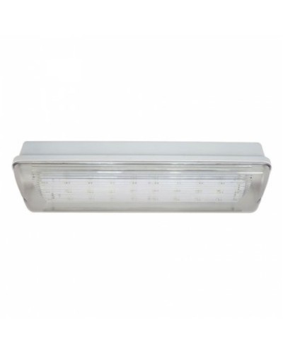 SL-213-30LED1.8 исп.1 IP54. Светильник аварийного освещения. ИП Раченков А.В. во Владивостоке