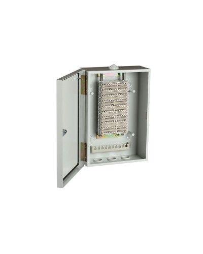 ШРН-В/100-Р (120908-00122). Шкаф ШРН-В/100-Р, плинт ПВТ-10Р-5е. ССД (Связьстройдеталь) во Владивостоке
